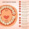 Порядок и симптомы прорезывания зубов у ребенка