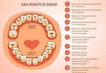 Порядок и симптомы прорезывания зубов у ребенка