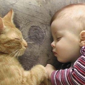 Аллергия на кошек у детей: признаки