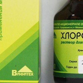Для чего нужен хлорофиллипт грудничку