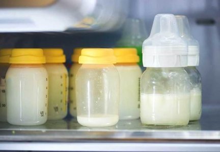 Сколько хранится сцеженное грудное молоко в холодильнике