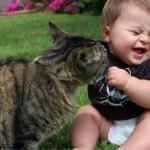 Признаки аллергии на животных у детей